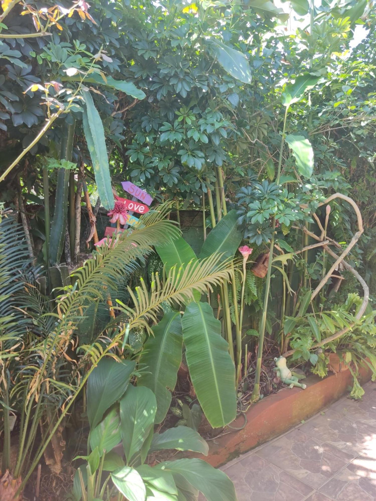 Recanto Toca Das Plantas De Ilhabela I Szoba fotó